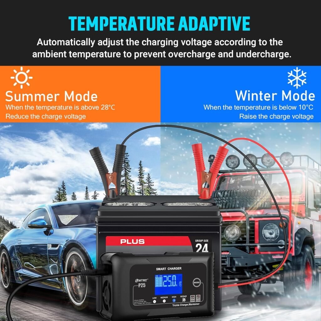 Smart Battery Charger 20A 12V/24V Fully Automatic Maintainer, Trickle Charger/Desulfator with Overcharge Protection  Temperature Compensation for LiFePO4 Lead Acid Lithium Batteries