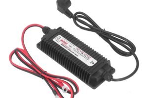 43.8V Lithium Battery Charger Review