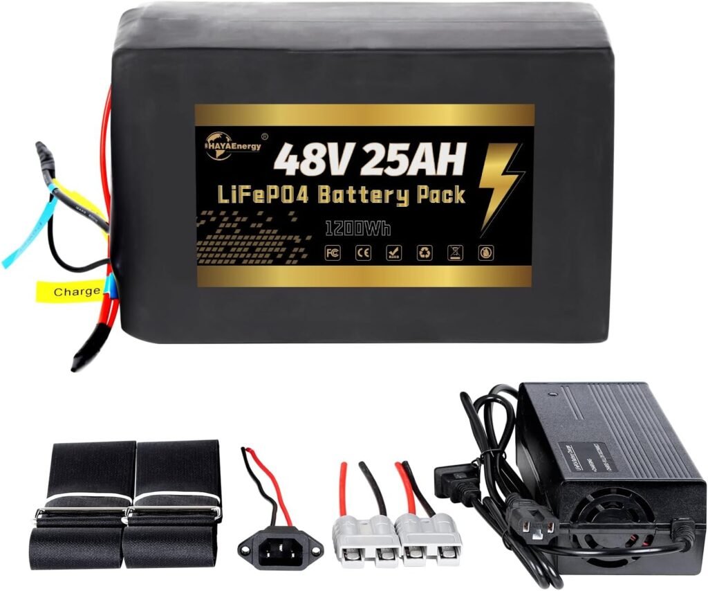 48V LiFePO4 E-Bike Battery,20AH 25Ah LiFePO4 Lithium Battery Pack with 40A BMS for 0-1000W Motor(48V 25AH 0-1000W)