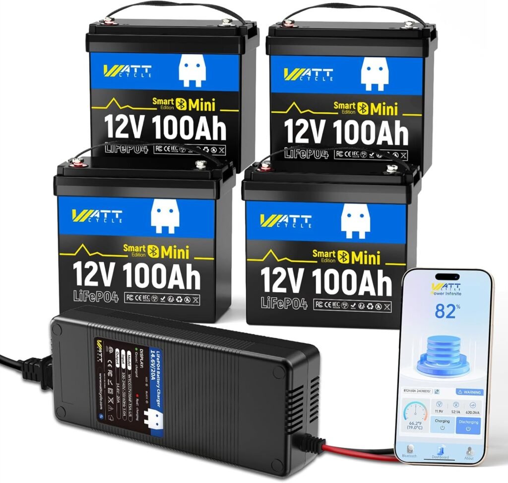 12V 100Ah LiFePO4 Bluetooth Battery (4 Pack) with 14.6V 20A Lithium Battery Charger, BCI Group 24, 100A Smart BMS, Phone Bluetooth Monitoring, 15000 deep Cycles, Marine Trolling Motor RV
