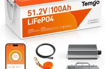 48V 51.2V 100Ah LiFePO4 Golf Cart Battery Review