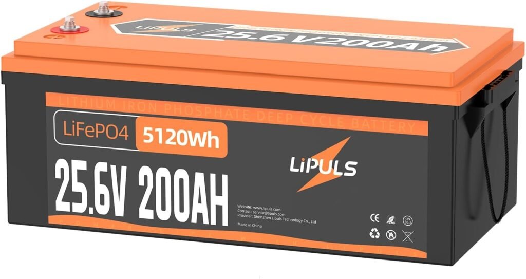 24V 200Ah LiFePO4 Battery, 5120Wh Lithium Battery with Built-in 100A BMS, 4000-15000 Cycles  10 Years Lifetime, Max. 5120W Load Power Perfect for RV, Solar Panel,Home Backup, Camping