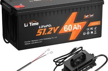 LiTime 48V 60Ah Lithium Golf Cart Battery review