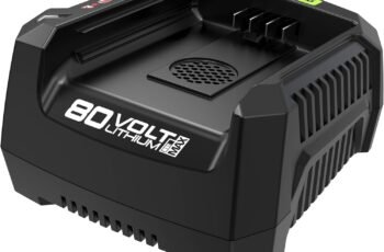 80V 6Ah Battery Charger review