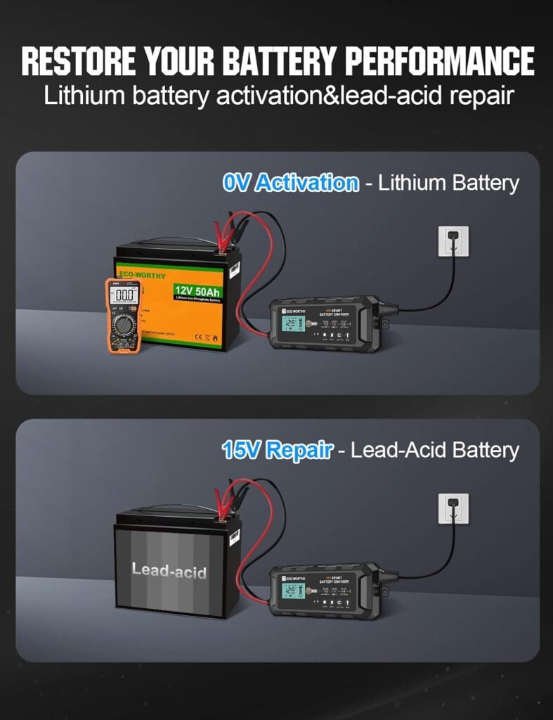 ECO-WORTHY 10A LiFePO4 Battery Charger 12V, Smart Lithium Battery Charger  Maintainer, Trickle Charger and Desulfator for Lead Acid, RV, Car, Motorcycle, Marine, Boat