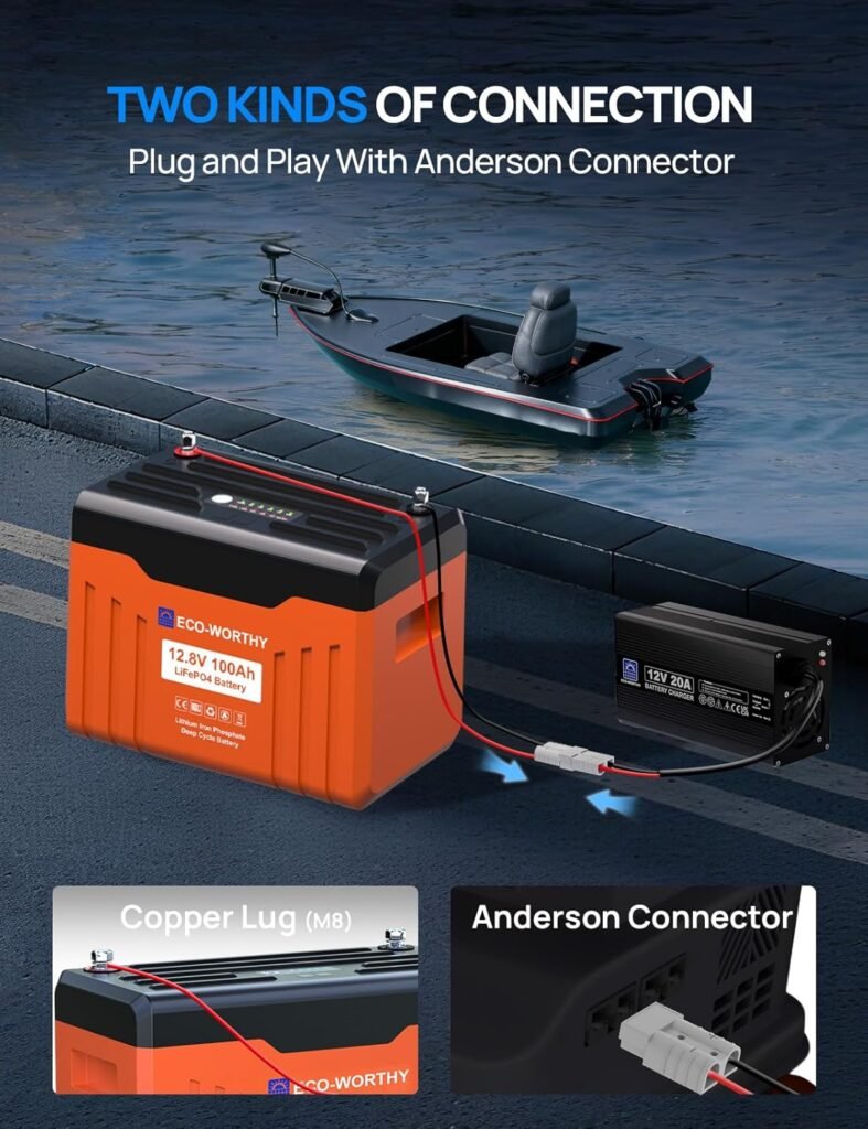 ECO-WORTHY 12V 20A Lithium Battery Charger 14.6V LiFePO4 Battery Charger with Anderson Connector Automatic Smart  Maintenance for Deep Cycle Rechargeable Battery Boat RV