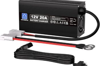 ECO-WORTHY 12V 20A Lithium Battery Charger review